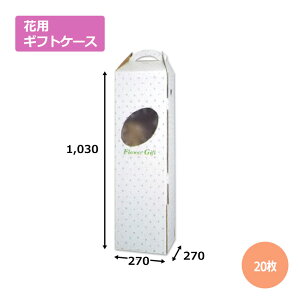 ԃP[XF-6u20v񂰁E^p^Cv@Mtgp  bsO  z _{[ i{[