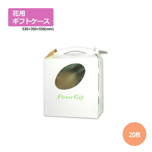 ԃP[XG-8u20v񂰁E^p^Cv@Mtgp  bsO  z _{[ i{[