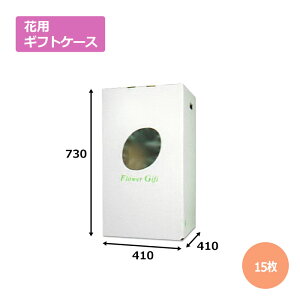 ԃP[XG-9u15v񂰁E^p^Cv@Mtgp  bsO  z _{[ i{[