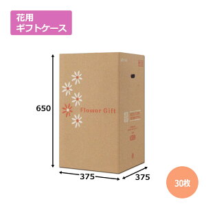 ԗpMtgP[XMB-140 375×375×650mm^700u30v@Mtgp  bsO  z _{[ i{[