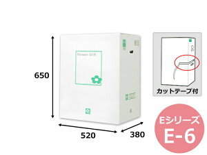 ԗpMtgP[XE-6u20vGRm~[^Cv @Mtgp  bsO  z _{[ i{[