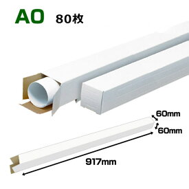 A0(1,189×841mm)対応 白ポスターケース「80枚・240枚・800枚」 60×60×長さ：917(mm)