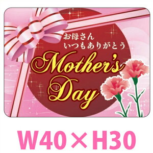 ̓̑V[uMother's Dayv40×30(mm)u1300v
