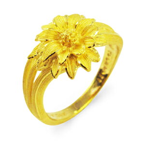  O w ւ̉ t[  GKg fB[X  LO a 蕨 K24 24 WG[ ANZT[ uh PRIMAGOLD v}S[h 