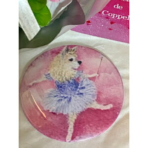 Maya o[i@}Olbg My dog ` oGG݁@@CeAG @zCgf[@v`v[g@G