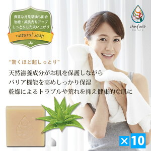 AGΌi100gj× 10Zbgb_͔|̋{ÓYAGxgp قǒƂ R[hvZX@  `tfB[ i`[yzv[g Mtg