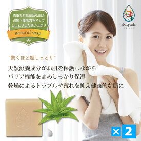 楽天市場 無農薬 アロエベラの通販