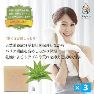 AGΌi100gj× 3Zbgb_͔|̋{ÓYAGxgp قǒƂ R[hvZX@  `tfB[ i`[yzv[g Mtg