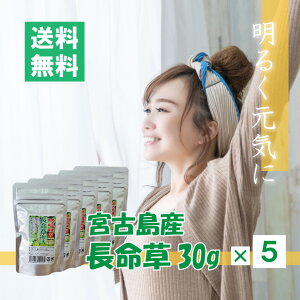 I[KjbNijy30g×5pbNZbgzy{Ó100%zyzbY {Ó̃n[ueB[ v[g Mtg hV̓