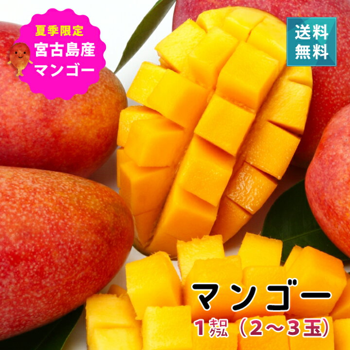 楽天市場】宮古島産マンゴー1kg（2〜3玉）送料込【6月下旬より発送 
