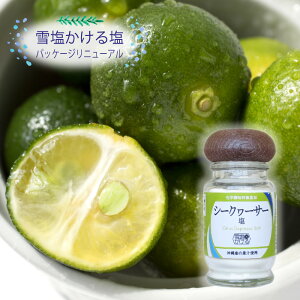 ቖ鉖yV[N[T[zyrzỶʏ`gpy̎Zɖ\ziƂ̓őy܂ƂߔɁz {Ó p_CXv