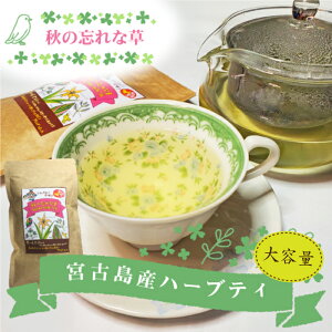 n[ueB[yH̖Yȑz(30g)  {Ó mJtFC _ I[KjbN yY v`Mtg 蕨b܂Ƃߔ⑼iƂ̓őb̓ v[g Mtg h