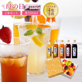 【4/25は24h限定！全商品P5倍開催中】母の日 限定 プレゼント 毎日飲める酢 500ml×2本 選べる セット | 飲む酢 飲むお酢 お酢 酢 ドリンク 果実酢 ビネガードリンク 健康 ギフト 健康食品 飲料 ギフトセット ビネガー 食品 りんご酢 飲む 健康ドリンク 実用的 母 送料無料