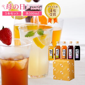 【4/20は24h限定！全商品ポイント5倍開催】母の日 限定 プレゼント 毎日飲める酢 500ml×5本 選べる セット | 飲む酢 飲むお酢 お酢 酢 ドリンク 果実酢 ビネガードリンク 健康 ギフト 健康食品 飲料 ギフトセット ビネガー 食品 りんご酢 飲む 健康ドリンク 40代 送料無料