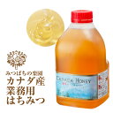 業務用 カナダ産蜂蜜(はちみつ)2kg純粋蜂蜜