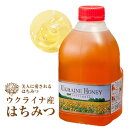 業務用 ウクライナ産はちみつ 蜂蜜 2kg 純粋蜂蜜