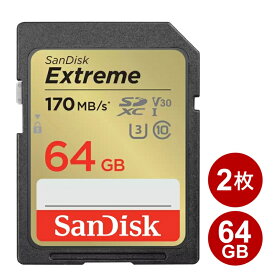 ＼楽天カードポイント5倍！4/25／サンディスク SDXCカード 64GB 2枚セット EXTREME Class10 UHS-1 U3 V30 170MB/s SDSDXV2-064G-GNCIN-2P SanDisk SDカード 海外リテール メール便送料無料
