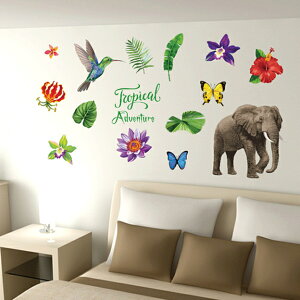 EH[XebJ[ 킢 50×70cm ǎ V[ OK ͂  DIY ͗lւ CeA  ̓