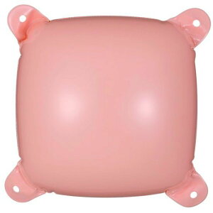 GAEr_[ (yCIW) (10) 1Zbg  o[ fBXvC r_[ p`Ri 