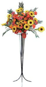 AWX^h Ђ܂ 1g   t[GgX p`Ri 