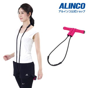 y{zACRcX ALINCOEXG161P ؎p`[uS`MTCYp Lw Xgb` N ƒp `[uGNTTCY g[jO z[W W g