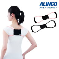 【クロネコゆうパケット対象】アルインコ直営店 ALINCO EXG162 姿勢キープチューブ 姿勢 猫背 ストレッチ…