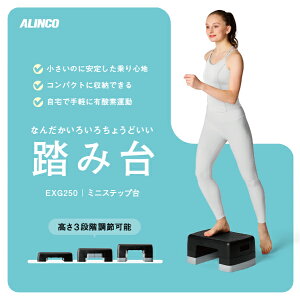 yԌGg[Ń|Cg5{zy{zACRcX ALINCO EXG250 ~jXebv _CGbg/N tBbglX N ~^ ݑ Xebv 