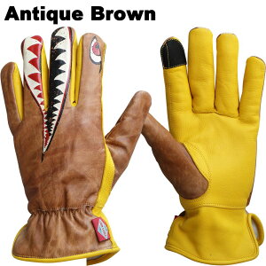 I JAM'S GOLD JGG-945 EAT WYS[h EB^[O[u C_[XO[u m[YA[g T L V[N h h  oCNO[u H ~ t AJ c[