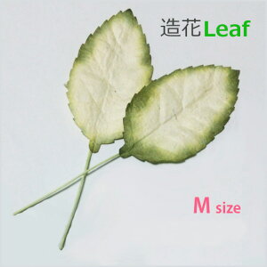 pԁytzC[ttEӂ×10ł̔̔łiMTCYjDMOKEAWAGݔ̔