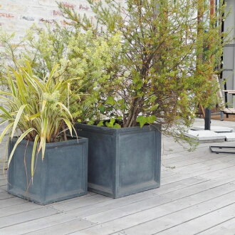 楽天市場 植木鉢 おしゃれ 大型 プラスチック 軽い Llキューブ L Frp 56cm グレー 穴あり 繊維強化プラスチック 四角 スクエア 正方形 立方体 軽量 樹脂 プランター 鉢 特大 大きめ ガーデニング 屋外 植え替え 鉢植え 園芸 観葉植物 多肉植物 塊根植物 サボテン 人工