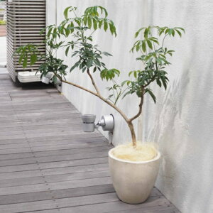 Aؔ  Zg tHIGbO (2F) 10 30cm  N[ ubN  x[W _[NO[ t@Co[ RN[g v^[ 킢  Jo[ K[fjO 