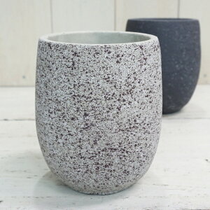 Aؔ  Zg Wg[M (2F) 12.5cm 4 ubN O[  J[L RN[g  O[ c w̍ [   ~` ^ ~j v^[ AeB[N  K