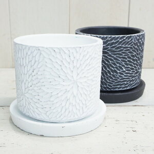 Aؔ  Zg TUi~V_[ (2F) 10.5cm 3.5 ꌊ 󂯎Mt zCg ubN ~ ~  RN[g   v^[ ^ e ͗l  Jo[ K[fj