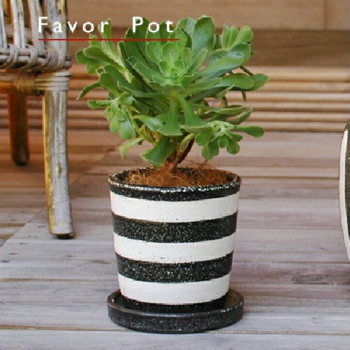 楽天市場】植木鉢 おしゃれ 陶器鉢 フェイバーポット< 14cm 5号 13cm 4号 穴あり 受け皿付 白 黒 グレー プランター 釉薬 鉢 丸い 丸み 円形 円錐 卵型 縦縞 横縞 モダン 陶器 模様 ガーデニング 室内 窓 植え替え 鉢植え 園芸 楽天市場】植木鉢 おしゃれ 陶器鉢 フェイバーポット< 14cm 5号 13cm 4号 穴あり 受け皿付 白 黒 グレー プランター 釉薬 鉢 丸い 丸み 円形 円錐 卵型 縦縞 横縞 モダン 陶器 模様 ガーデニング 室内 窓 植え替え 鉢植え 園芸