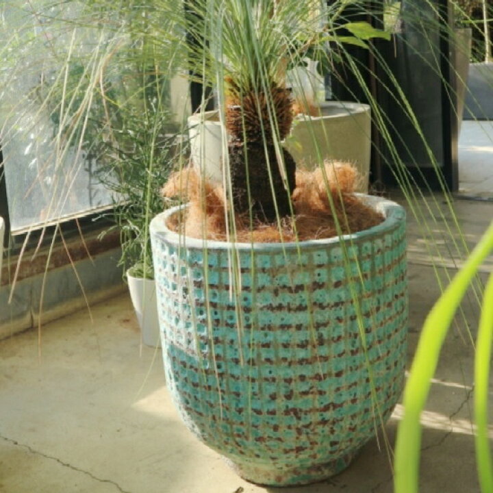 楽天市場 植木鉢 おしゃれ アンティーク 陶器鉢 Lt003s 34cm 11号 ブルー 底穴あり 水色 グリーン 普通鉢 標準鉢 プランター 鉢 釉薬 ガーデニング 丸い シャビー ザラザラ 大型 模様 柄 屋外 室内 植え替え 鉢植え 園芸 観葉植物 多肉植物 塊根植物 サボテン