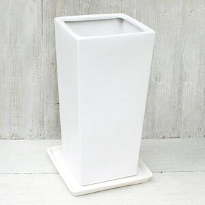 Aؔ  픫 g[XNGA(2F) 8 10 25cm 30cm  󂯎Mt cȂ }bg   lp Vv _ w̍ [ [  ^ c v^[  K[fjO 