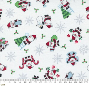 yModa _zCandy Cane Lane-24120-12(2E-08) zCg F Ⴞܕ ̌ NX}X Xmas T^N[X Rbg100 V[`Oy10cmPʔ̔z