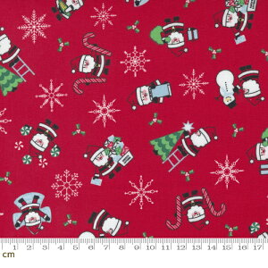 yModa _zCandy Cane Lane-24120-13(2E-08) bh ԐF Ⴞܕ ̌ NX}X Xmas T^N[X Rbg100 V[`Oy10cmPʔ̔z