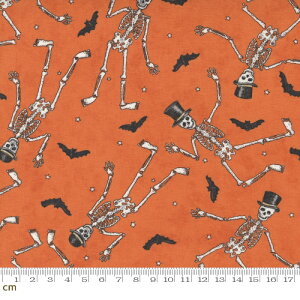 yModa _zGhostly Greetings-56042-12(2E-08) nEB XPg IW Rbg100% V[`Oy10cmPʔ̔z