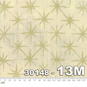 yModa _zGrunge Seeing Stars Metallic-30148-13m(^bNH)(2E-09) x[W S[h eNX`  Be[W bJ[vg Rbg100 V[`O y10cmPʔ̔z