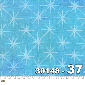 yModa _zGrunge Seeing Stars-30148-37(2E-09) XJCu[ eNX`  Be[W bJ[vg Rbg100 V[`O y10cmPʔ̔z