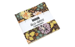 yModa _zHallo-Harvest-30600PP(42) CG[n IWn x[Wn ubNn ԕ w偕 hbg nEB vJbg JbgNX Rbg100% V[`O