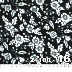 yModa _zMidnight Magic 2-24100-16(2E-04) ԕ ubNn nEB VbN Rbg100% V[`Oy10cmPʔ̔z