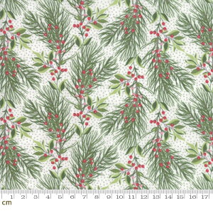 yModa _zNaughty or Nice-30631-11(2E-02) zCgn O[n A NX}X Rbg100 V[`Oy10cmPʔ̔z