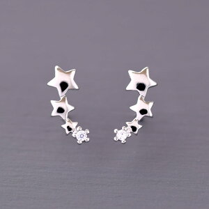 sAX@@sAX p Vo[ lC @ ꗱ  킢 `[t  X^[@fB[XANZT[