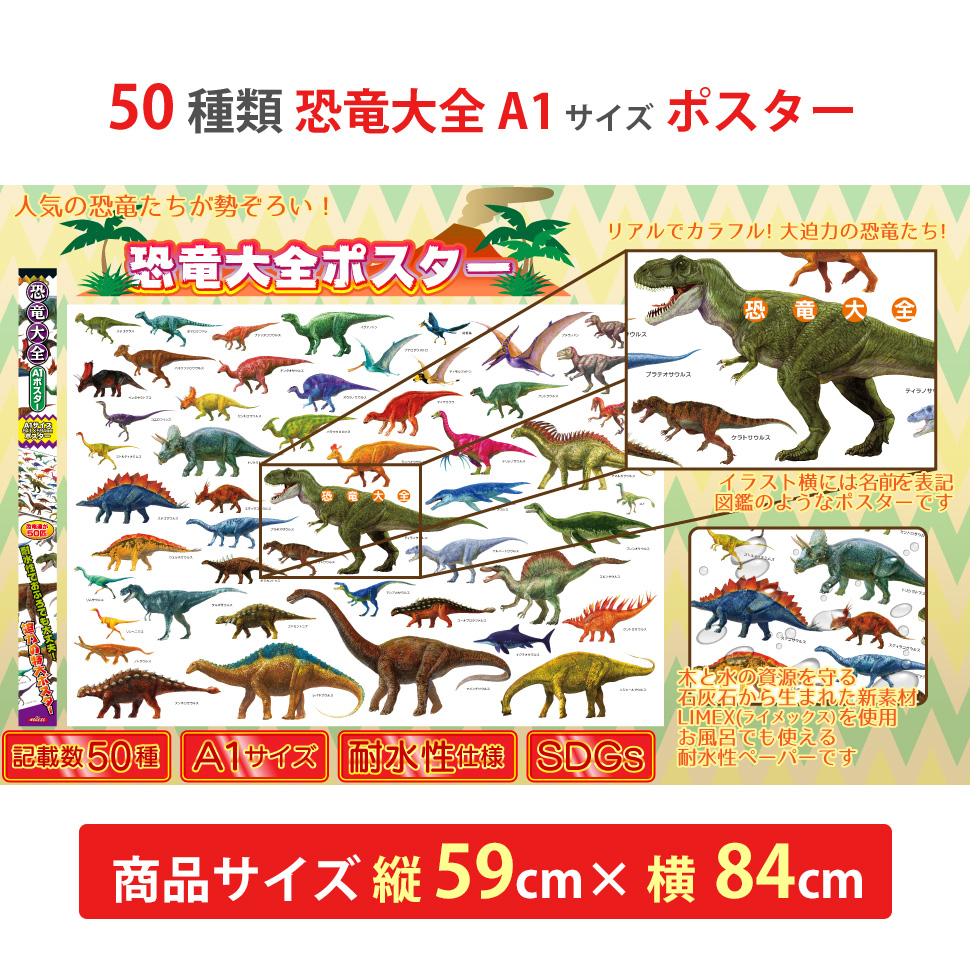 50種類の恐竜大全 ポスター お風呂 A1サイズ 日本製 国産 特大 文房具 図鑑 知育 ザ・アクセス