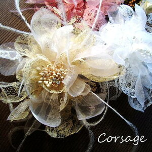 {̓|Cg5{f[I tH[} RT[W Ǝ w    tH[} q i  }} 1 lC NX}X