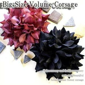 {̓|Cg5{f[I RT[W w Ǝ    tH[} q i  }}  1 lC NX}X