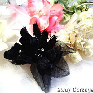 {̓|Cg5{f[I a tH[} RT[W w Ǝ    tH[} q i  }}  1 lC NX}X