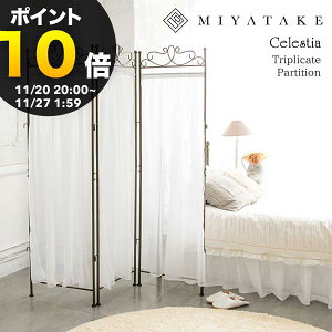 yubNtCf[ PO10{zp[e[V CelestiaiZXeBAj 3A 48×s3×170cmi1Aj X`[ |GXe AWX^[t zCg S[h sk-1700